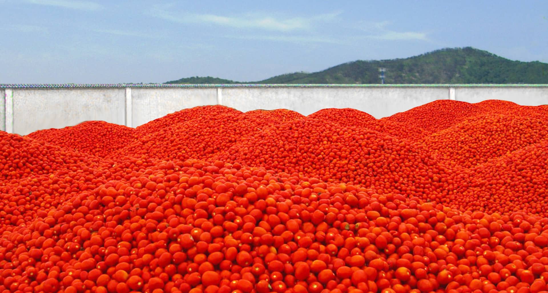 Ningbo Junyoufu Food Co. , Ltd.