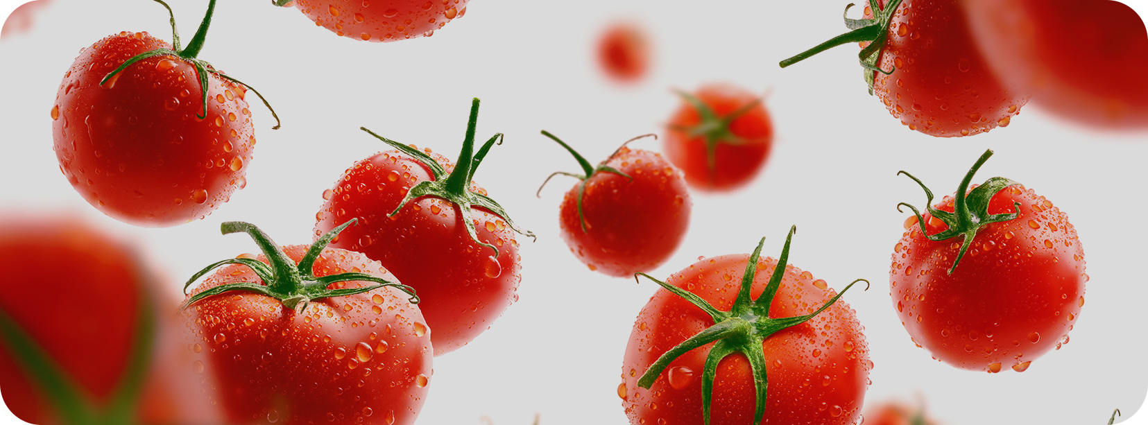 Ningbo Junyoufu Food Co. , Ltd.